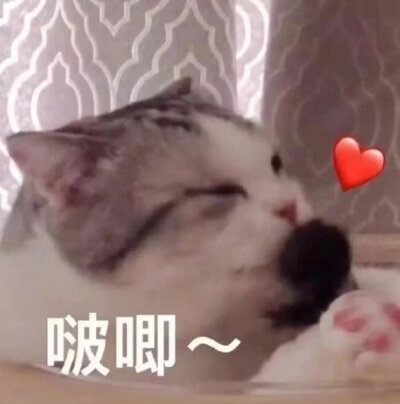 有趣表情包