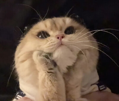 。
