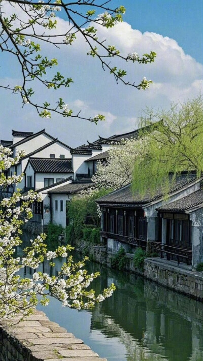 春暖鸭先知