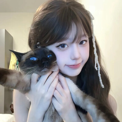 抱猫头像