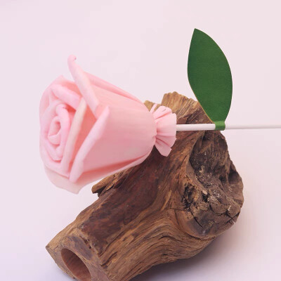 diy无火藤条扩香棒香薰空瓶精油通草花挥发棒配件熏香散香永生花