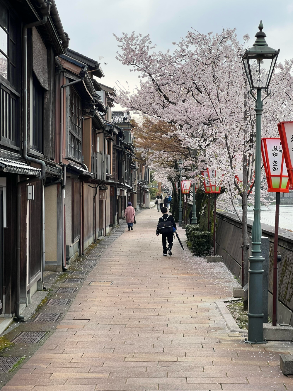 只有日本