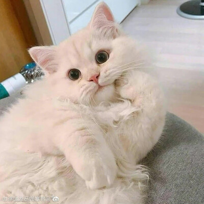 。