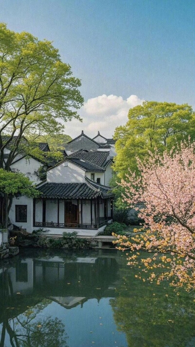 春暖鸭先知