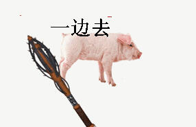 眼鏡娘の視線ᗜωᗜ