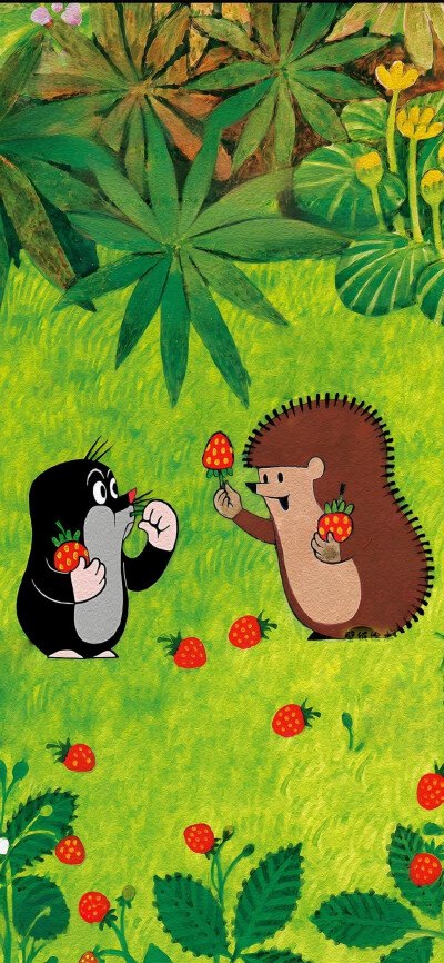 高清壁纸