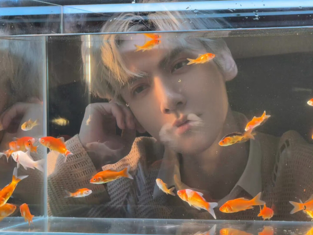 罗云熙