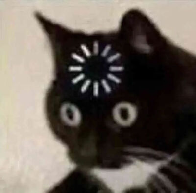 猫猫表情包