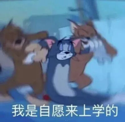 猫和老鼠表情包