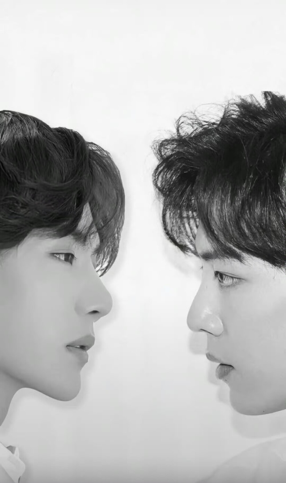 博君一肖 绝绝子 芭莎婚纱照