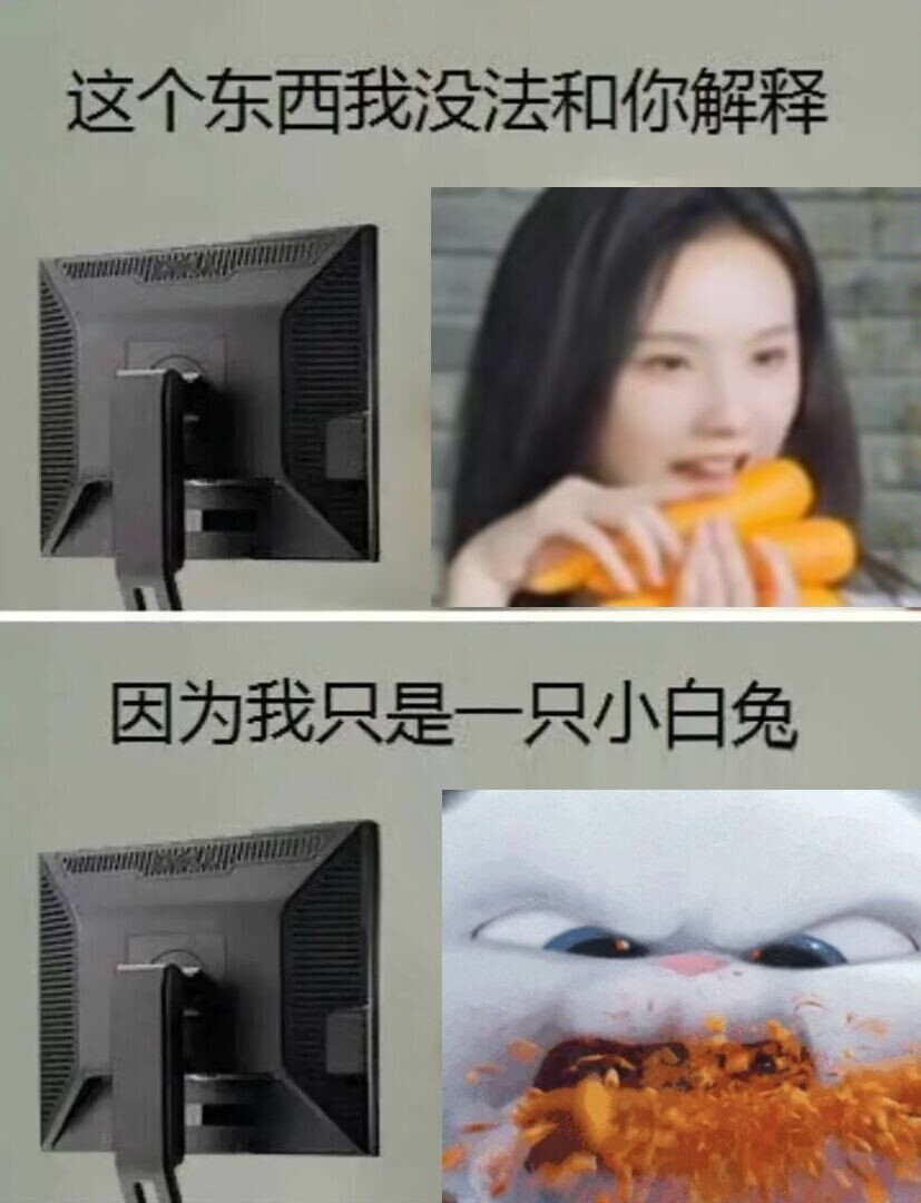 宠粉