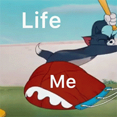 猫和老鼠表情包