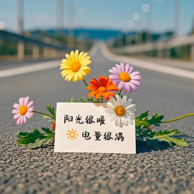 背景图