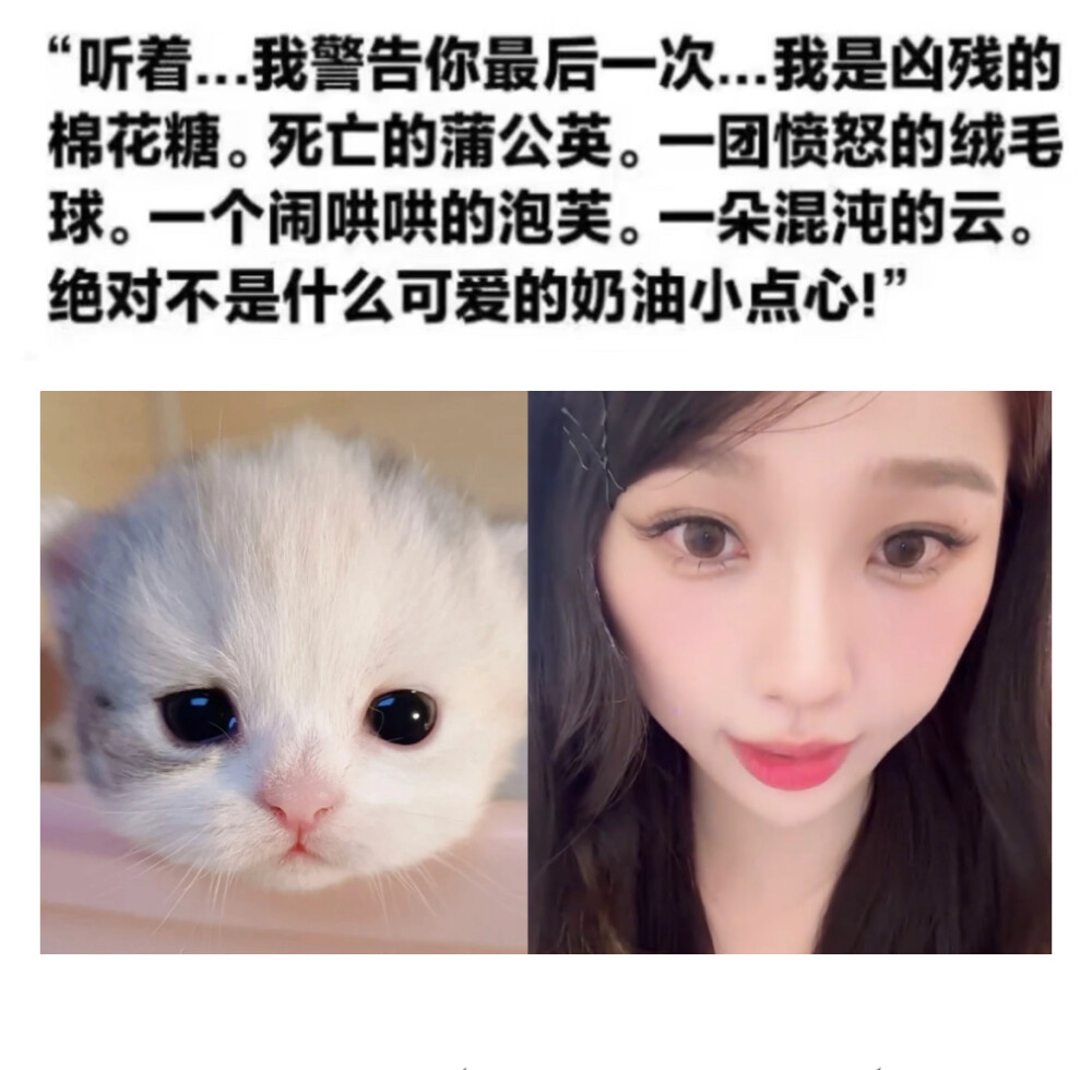 小猪