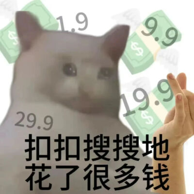 猫猫表情包