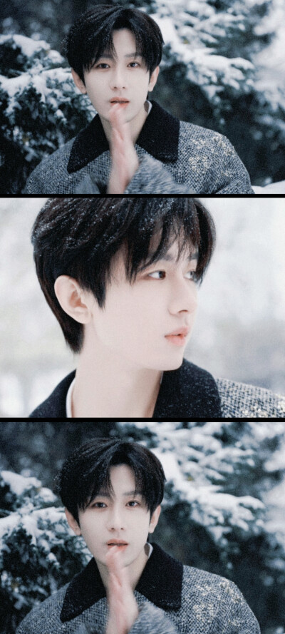 成毅自修壁纸分享（1）