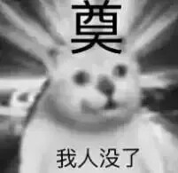 猫猫表情包
