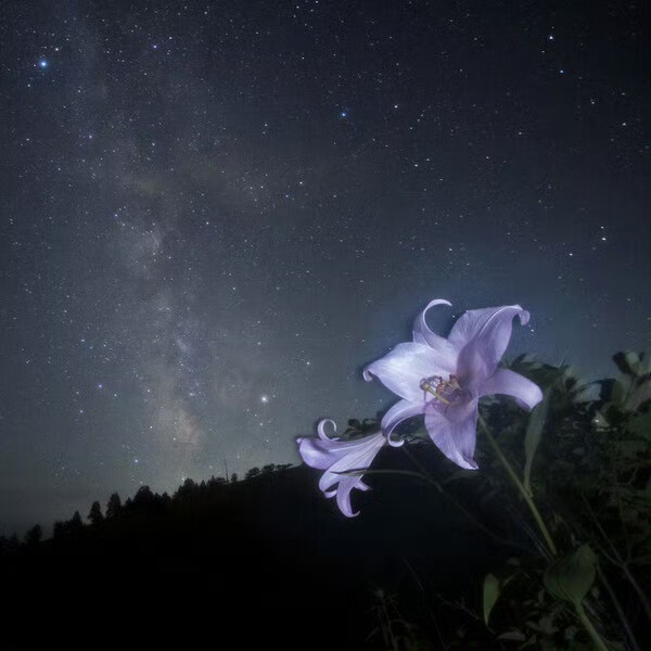 谁都能拍张好照片