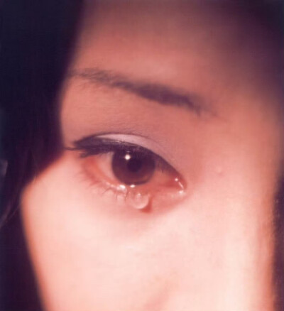 谁都能拍张好照片