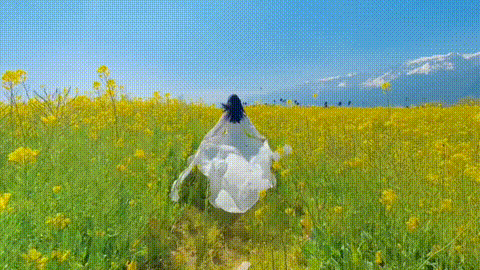 动图
