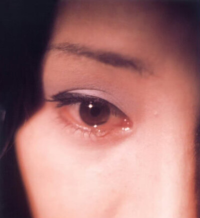 谁都能拍张好照片