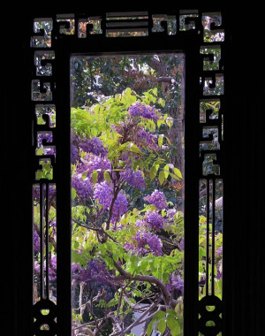 紫色系背景图 花朵背景图