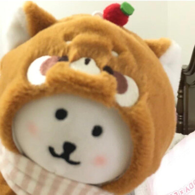 自嘲熊头像（微博：软糯鼻嘎）