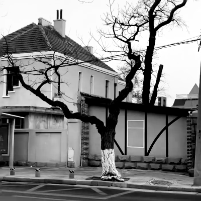 BRick Street：莫妮卡*情事终结…