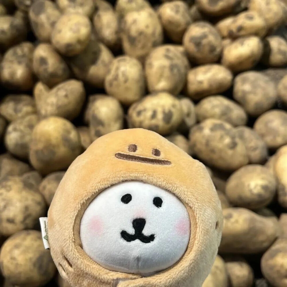自嘲熊