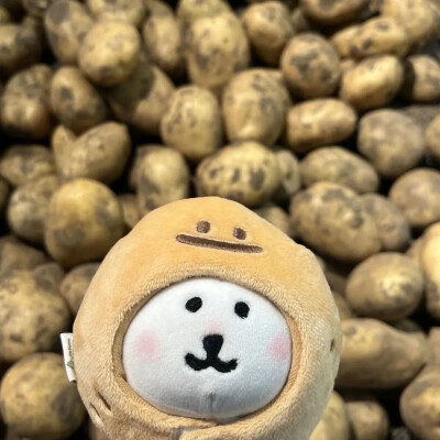 自嘲熊