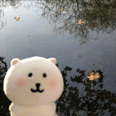 自嘲熊