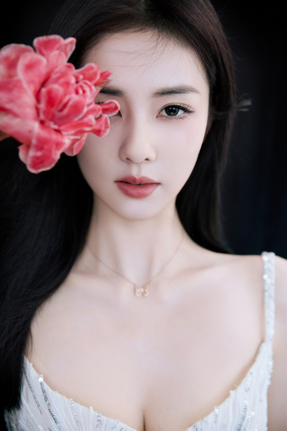 白鹿