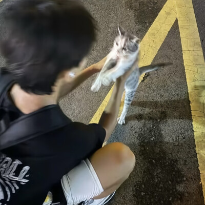 氛围男头 权威