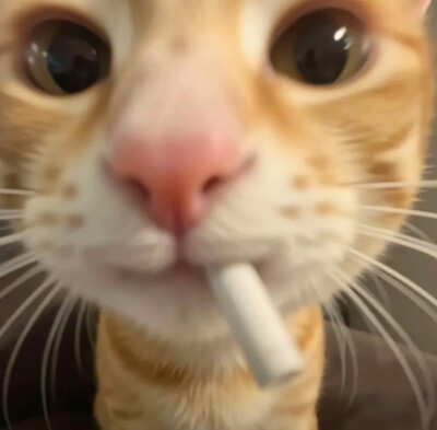 情头 可可爱爱