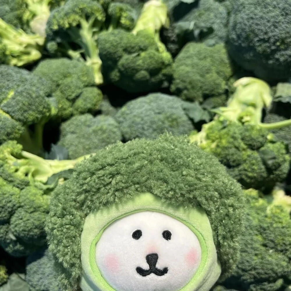 自嘲熊