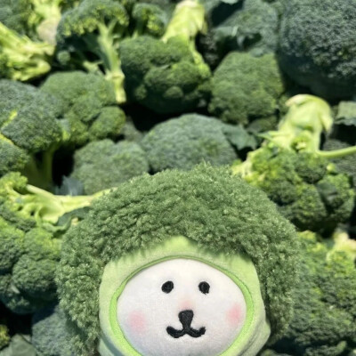 自嘲熊
