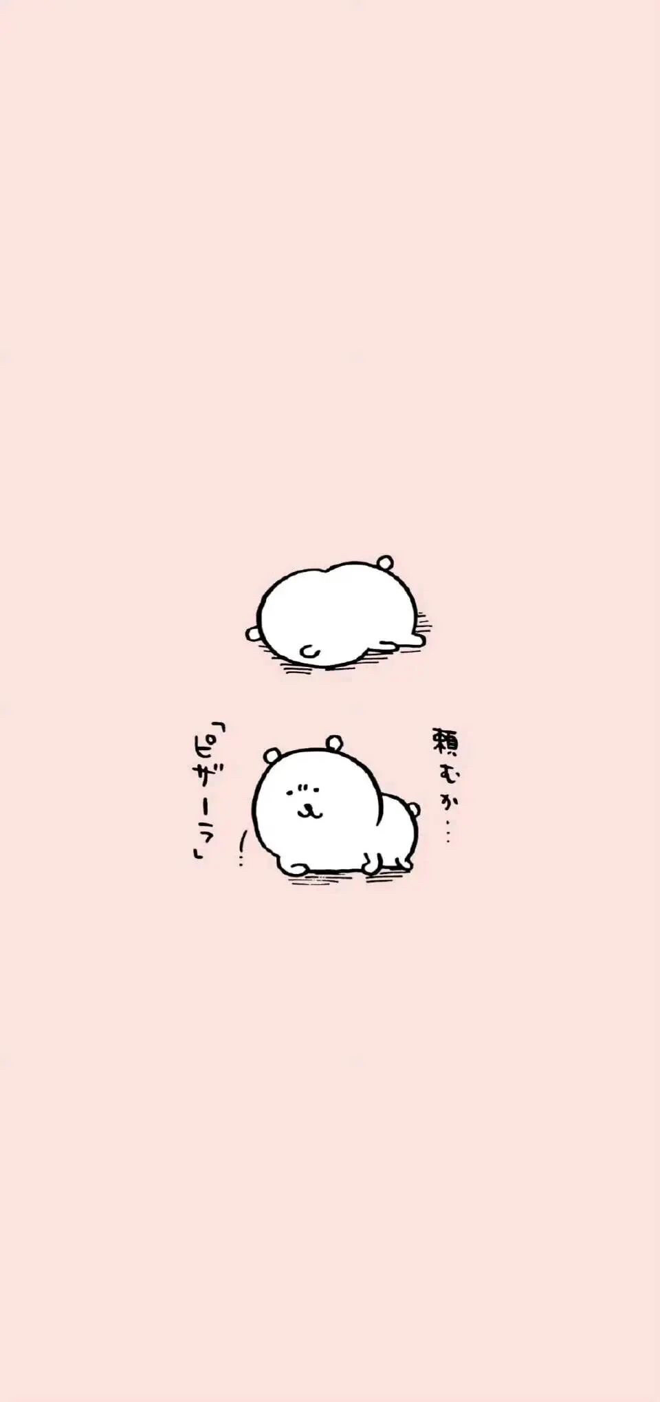 自嘲熊