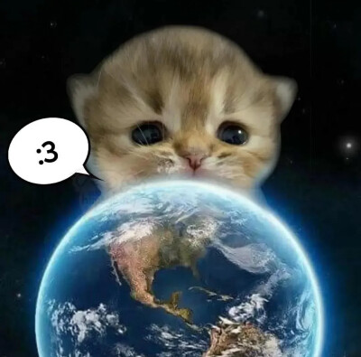喵