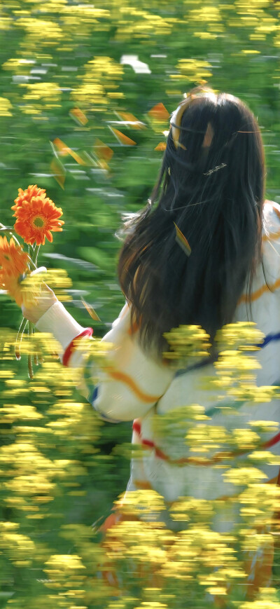 背影壁纸