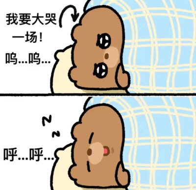 可爱小熊 图片
生活试图把我击倒 发现我早已躺下
