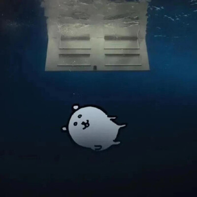 熊 专辑封面时候