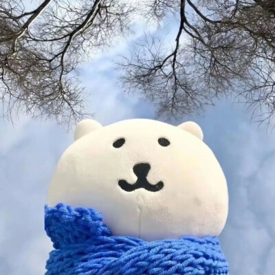 自嘲熊