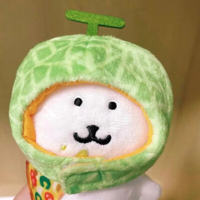 自嘲熊