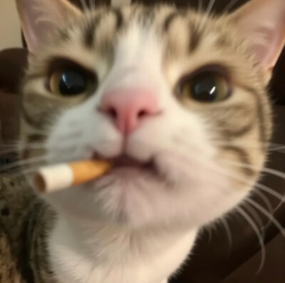 情头 可可爱爱