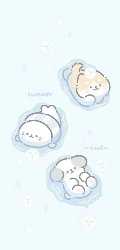 壁纸