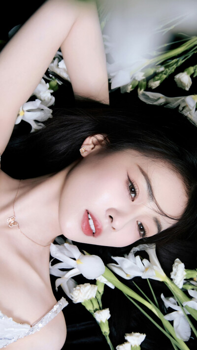 白鹿