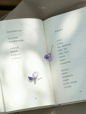 紫色系背景图