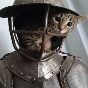 眼鏡娘の視線ᗜωᗜ