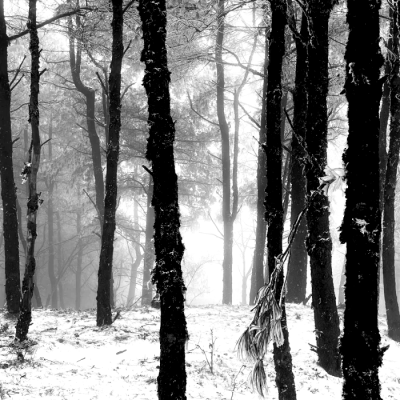 BRick Street：莫妮卡*情事终结…