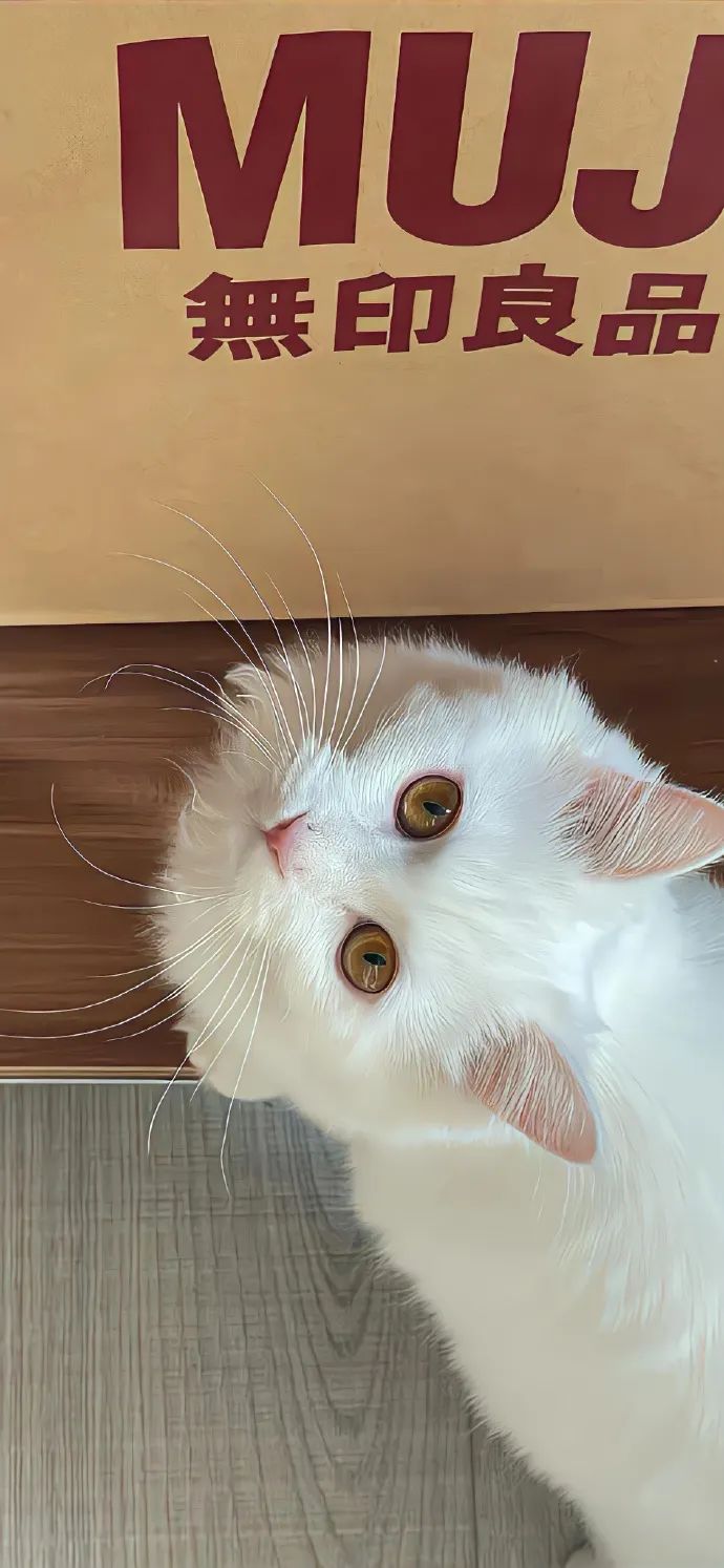 幸福是一只溢汁的小汤包